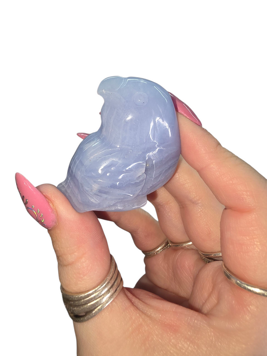 Blue lace bird carving
