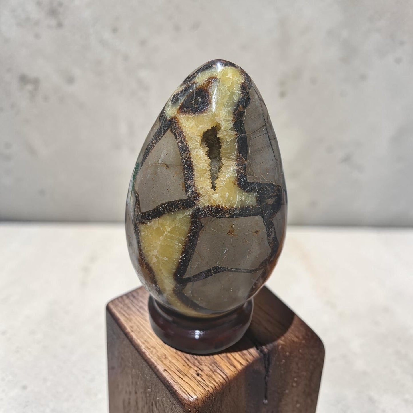 Large druzy septerian egg on stand