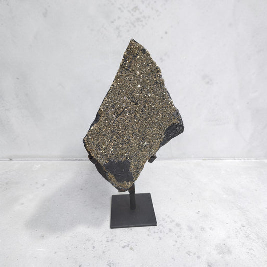 Large shungite and pyrite statement specimen