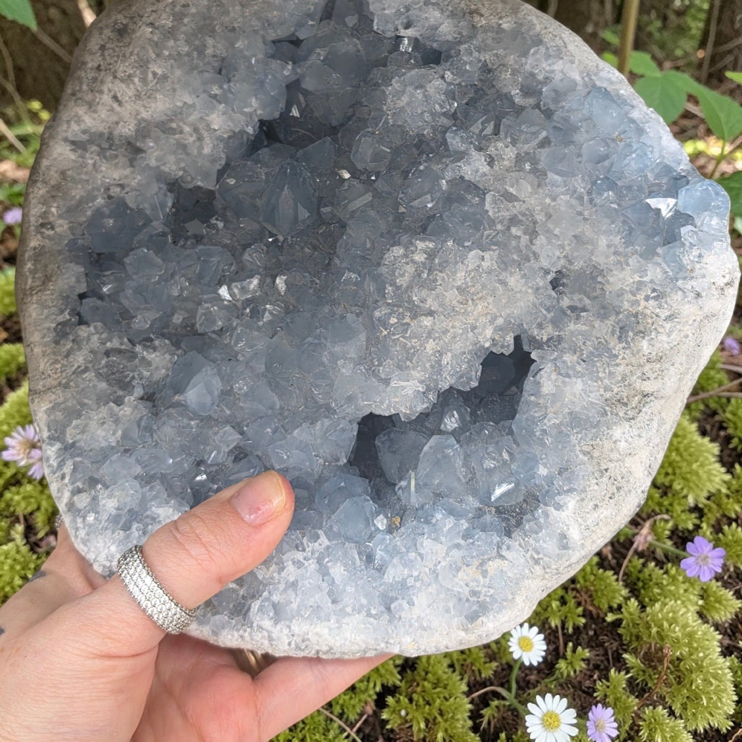 Huge raw blue celestite cluster statement piece